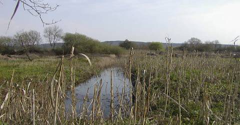 Quinta - Soure - Coimbra