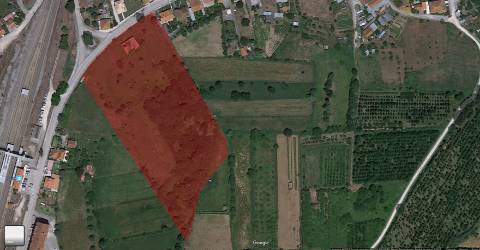 Quinta - Soure - Coimbra