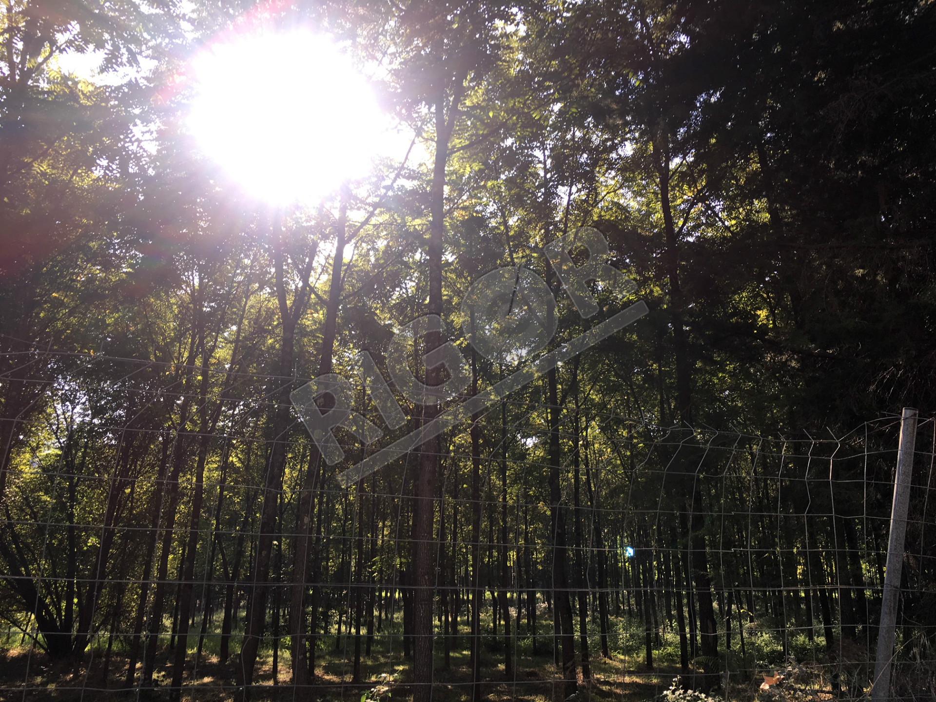 Terreno de 7 hectares com 3 casas em pedra para restauro