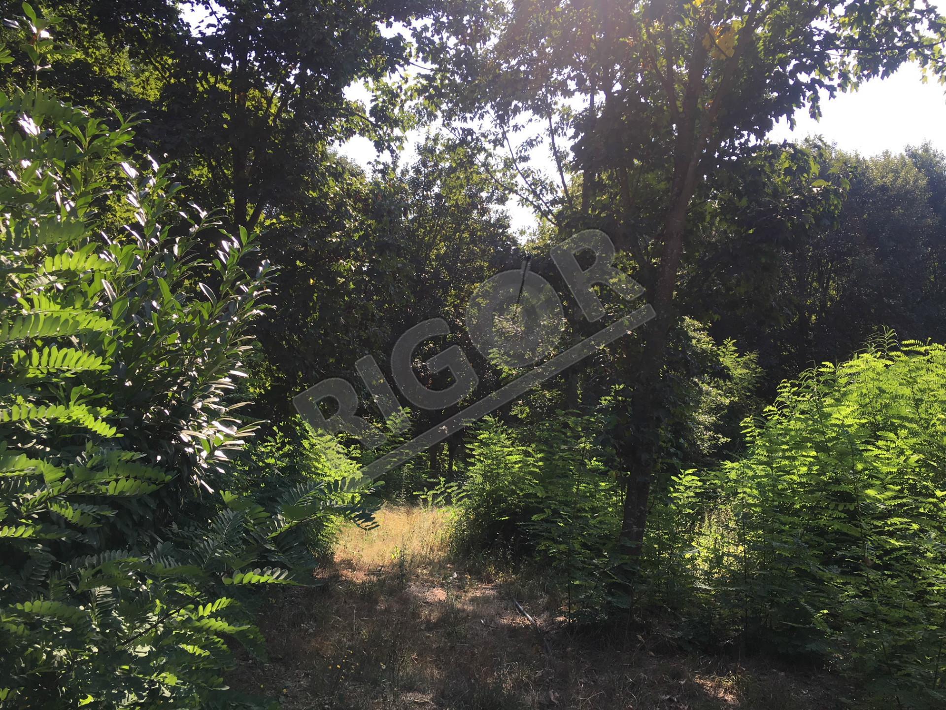 Terreno de 7 hectares com 3 casas em pedra para restauro