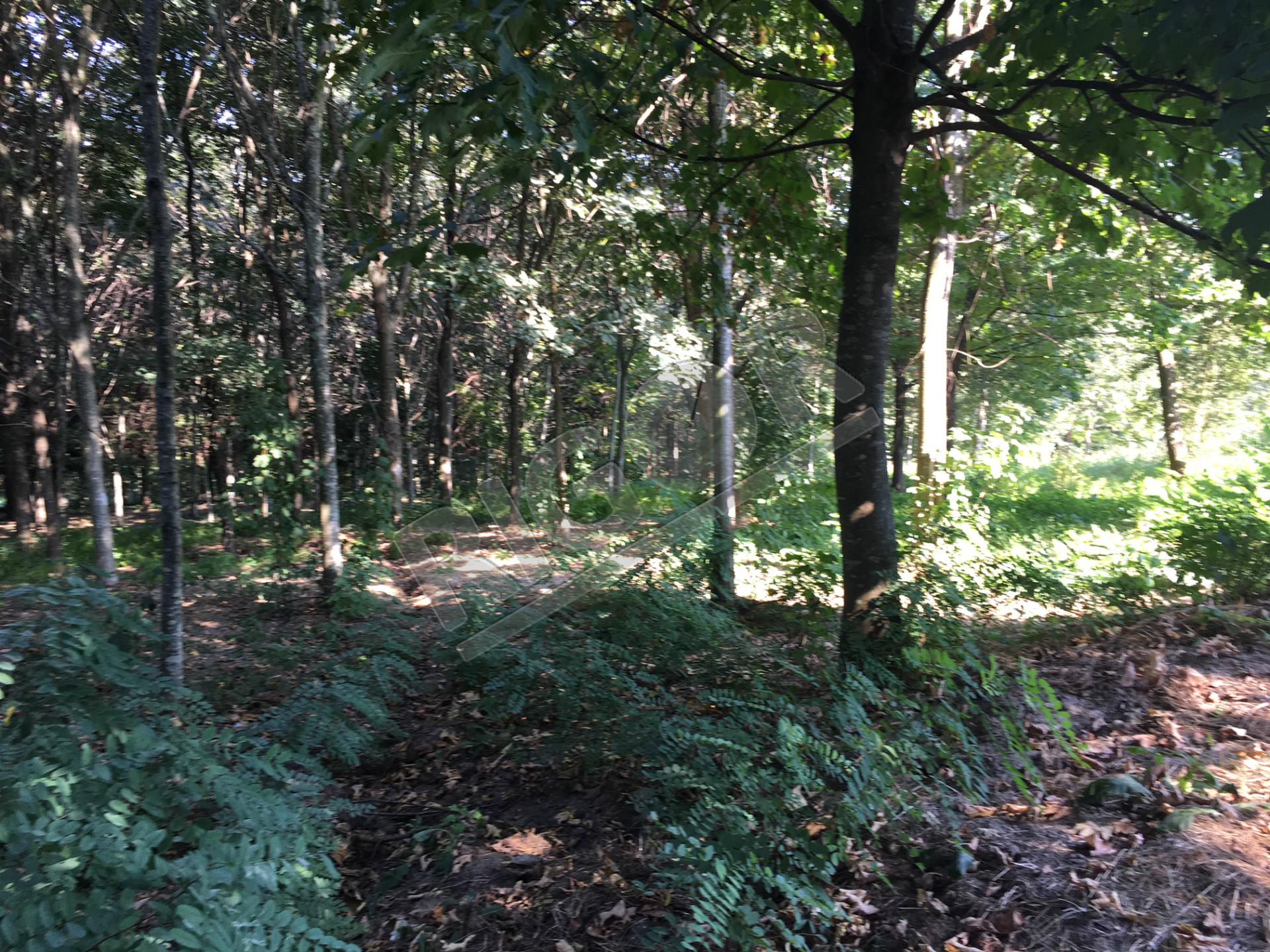 Terreno de 7 hectares com 3 casas em pedra para restauro