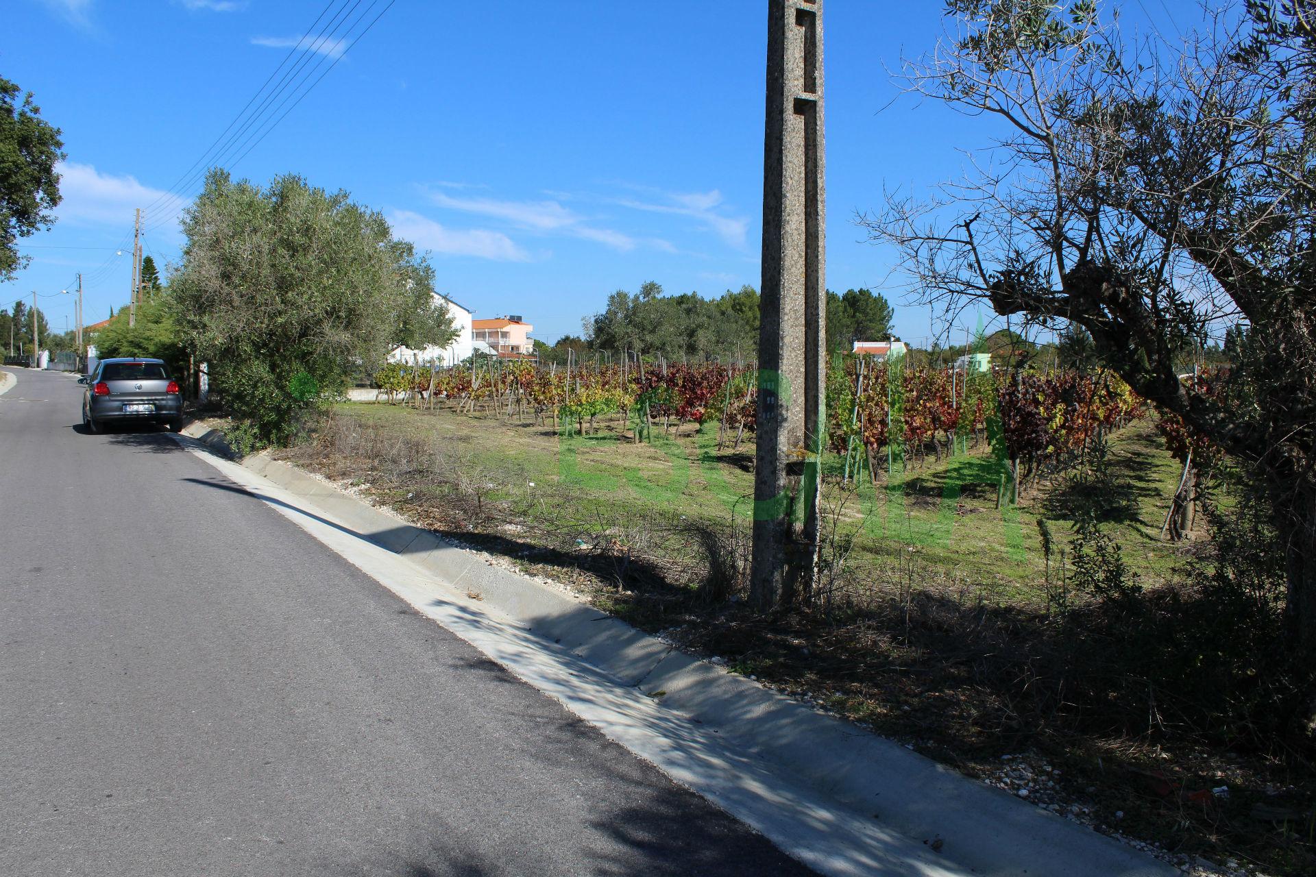 Lote de Terreno  Venda em Cartaxo e Vale da Pinta,Cartaxo