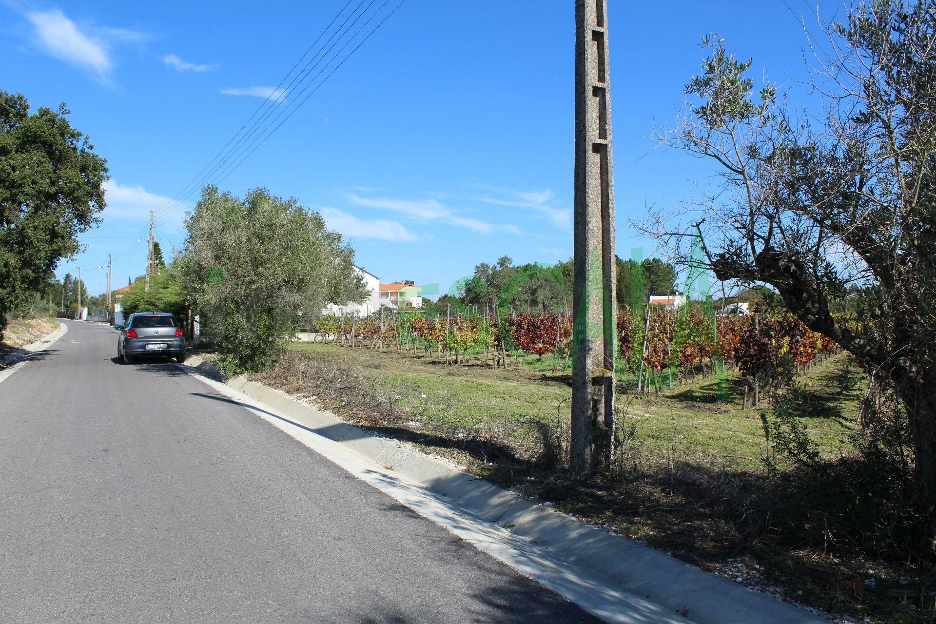 Lote de Terreno  Venda em Cartaxo e Vale da Pinta,Cartaxo