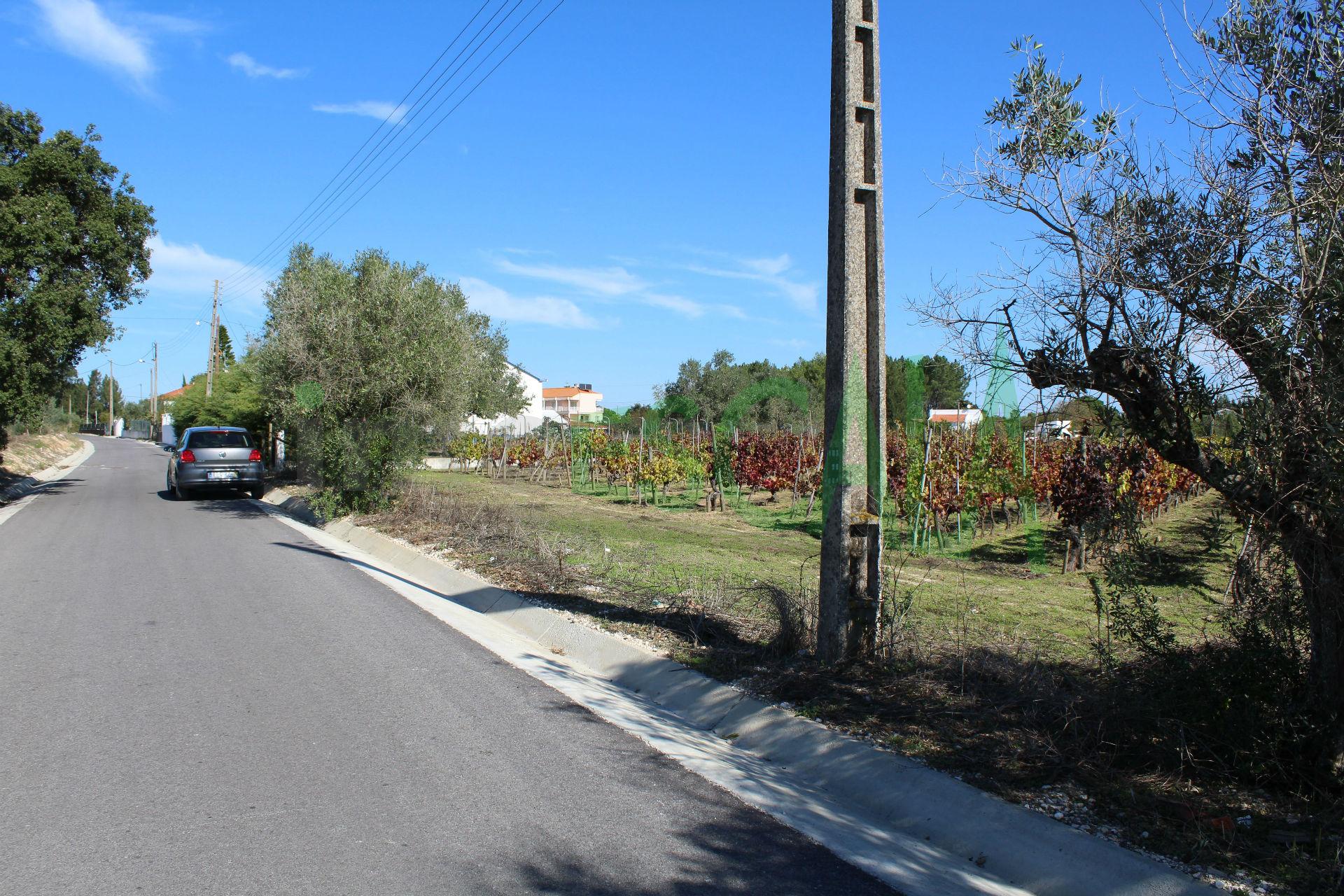 Lote de Terreno  Venda em Cartaxo e Vale da Pinta,Cartaxo