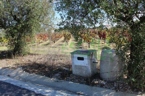 Lote de Terreno  Venda em Cartaxo e Vale da Pinta,Cartaxo