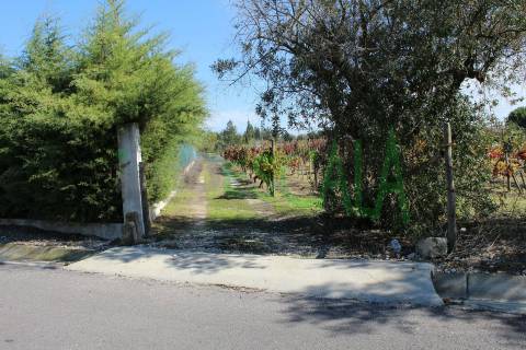 Lote de Terreno  Venda em Cartaxo e Vale da Pinta,Cartaxo