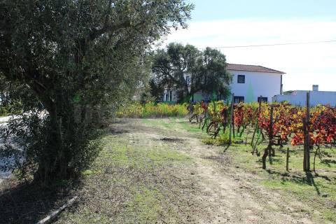 Lote de Terreno  Venda em Cartaxo e Vale da Pinta,Cartaxo