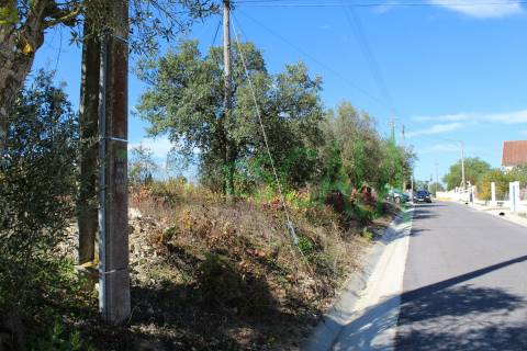 Lote de Terreno  Venda em Cartaxo e Vale da Pinta,Cartaxo