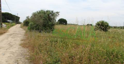 Terreno Rústico  Venda em Cartaxo e Vale da Pinta,Cartaxo