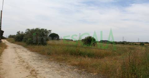 Terreno Rústico  Venda em Cartaxo e Vale da Pinta,Cartaxo