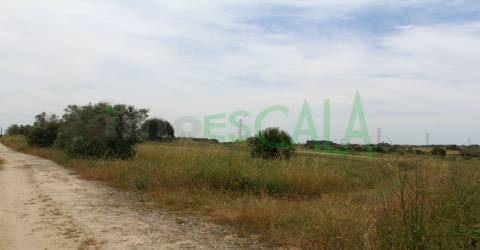 Terreno Rústico  Venda em Cartaxo e Vale da Pinta,Cartaxo