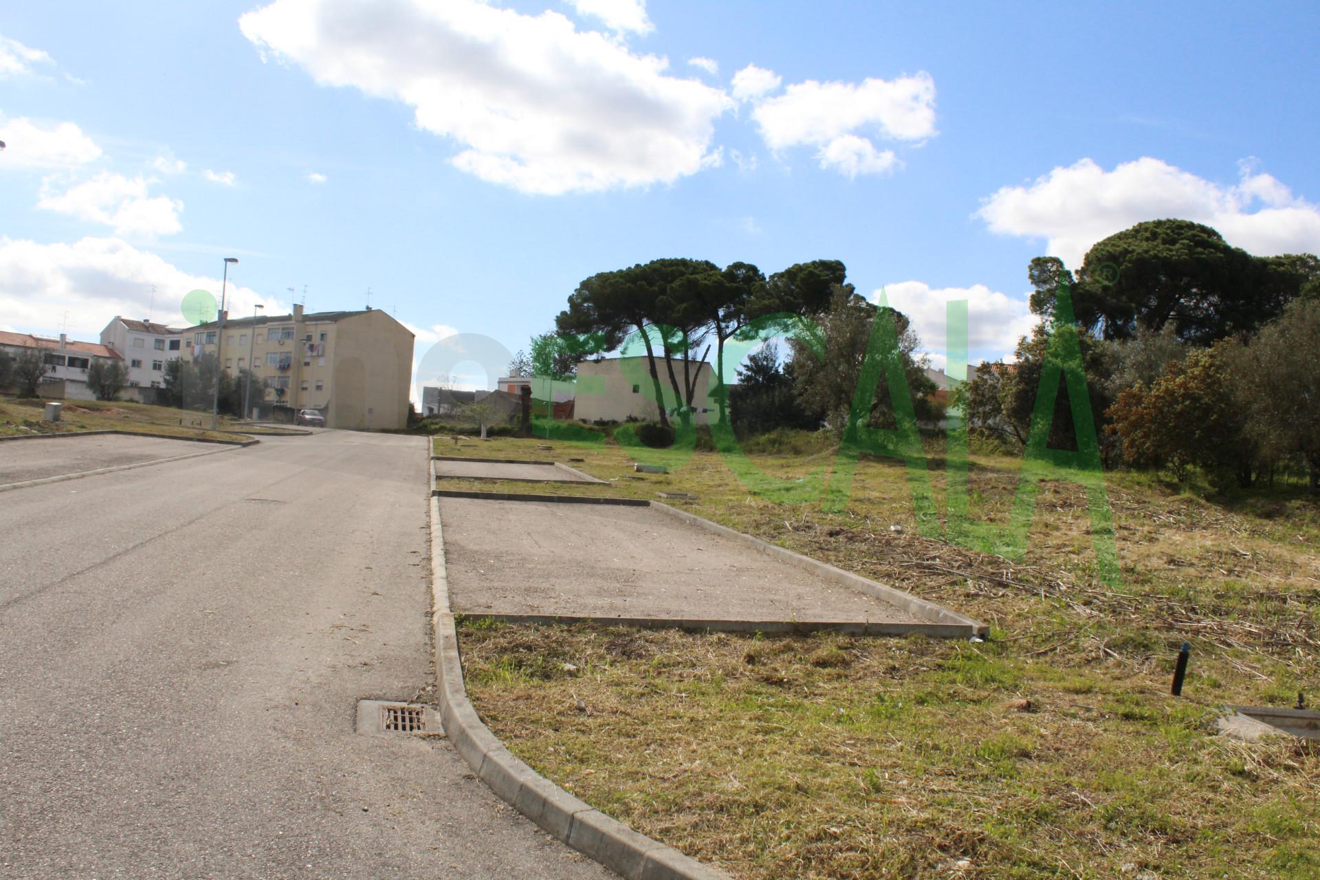 Lote de Terreno  Venda em Cartaxo e Vale da Pinta,Cartaxo