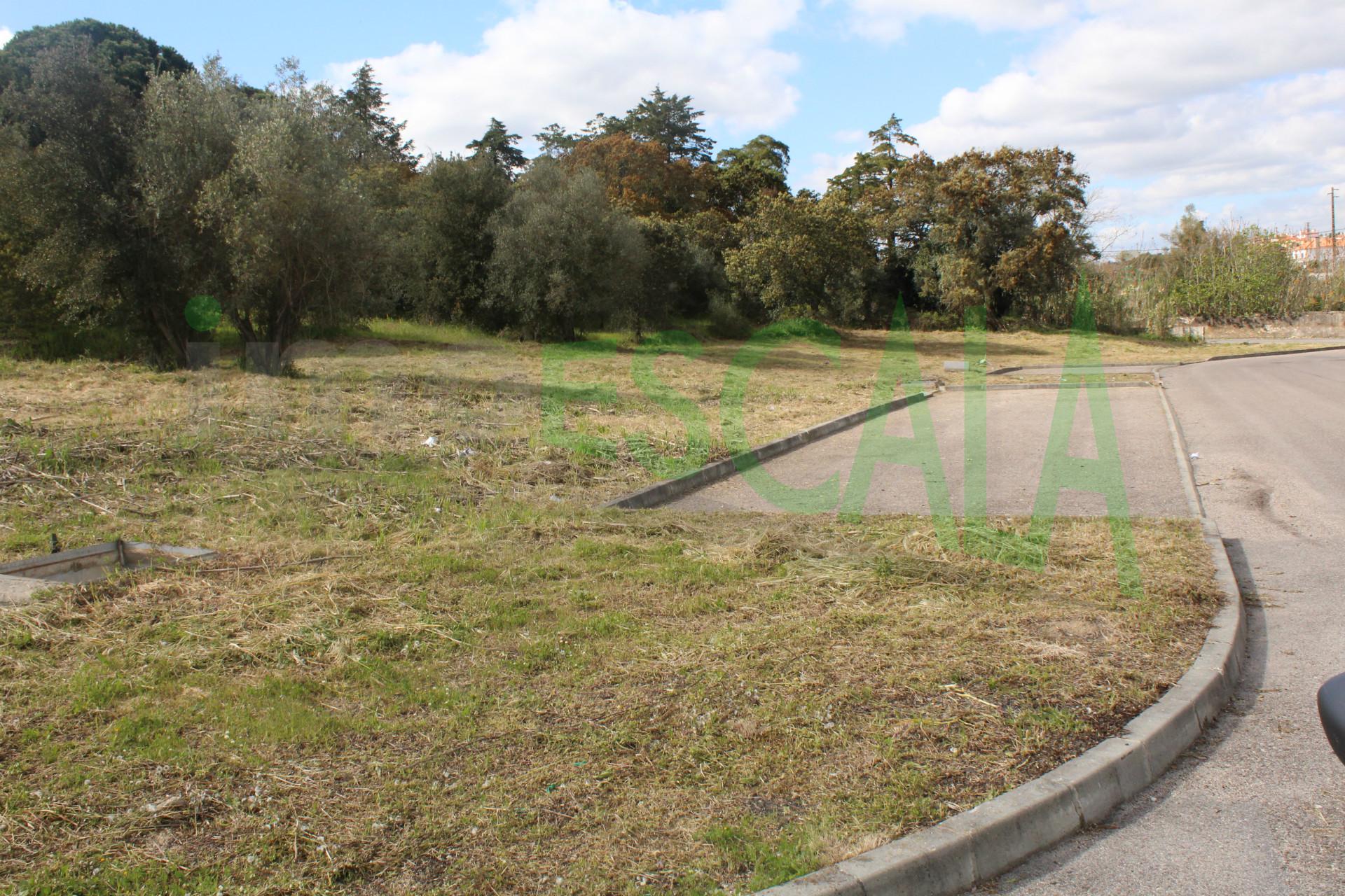 Lote de Terreno  Venda em Cartaxo e Vale da Pinta,Cartaxo