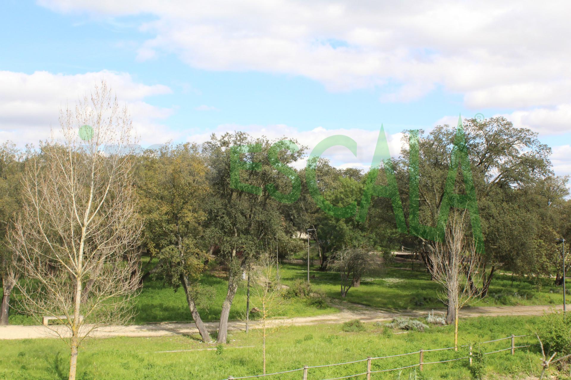 Lote de Terreno  Venda em Cartaxo e Vale da Pinta,Cartaxo