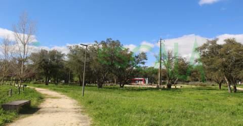 Lote de Terreno  Venda em Cartaxo e Vale da Pinta,Cartaxo