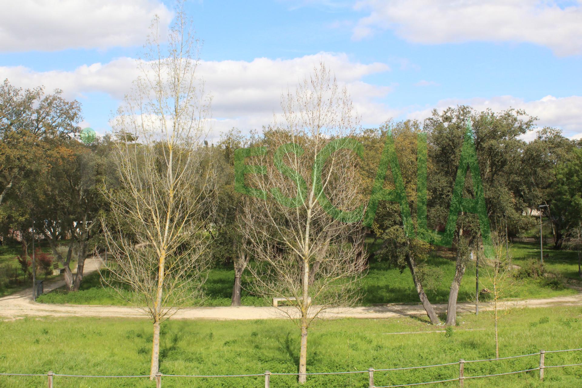 Lote de Terreno  Venda em Cartaxo e Vale da Pinta,Cartaxo