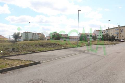 Lote de Terreno  Venda em Cartaxo e Vale da Pinta,Cartaxo