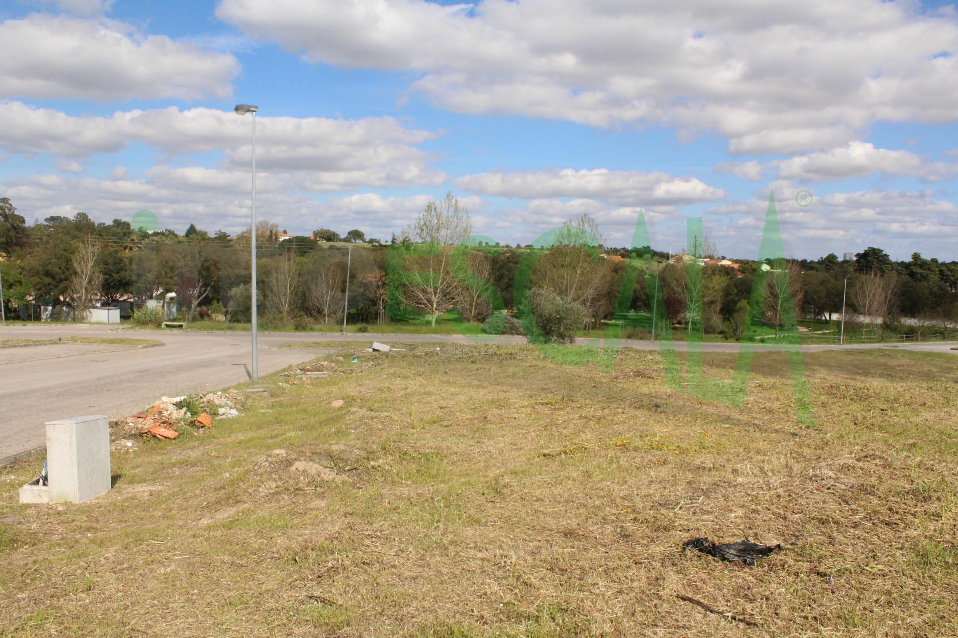 Lote de Terreno  Venda em Cartaxo e Vale da Pinta,Cartaxo