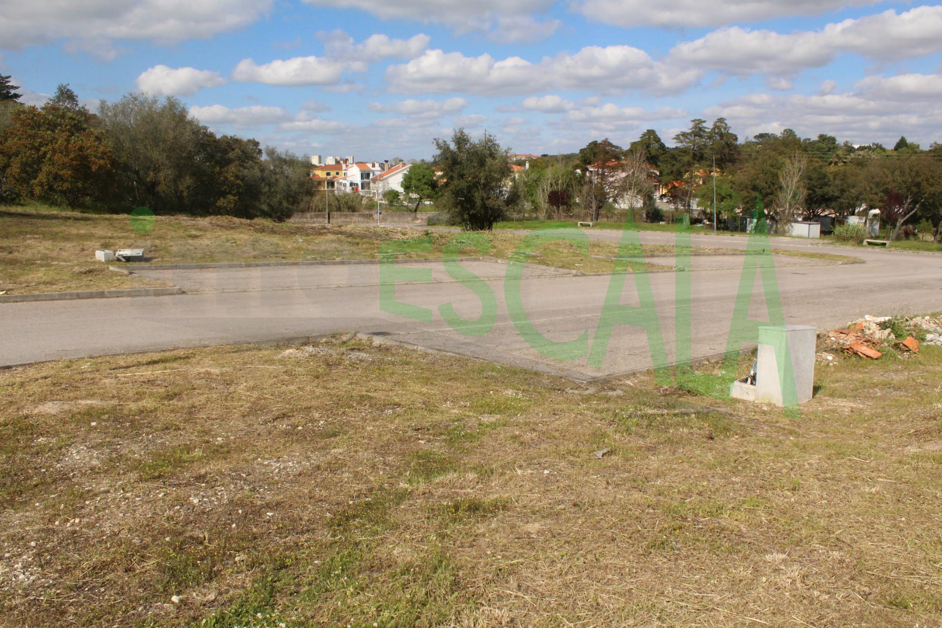 Lote de Terreno  Venda em Cartaxo e Vale da Pinta,Cartaxo