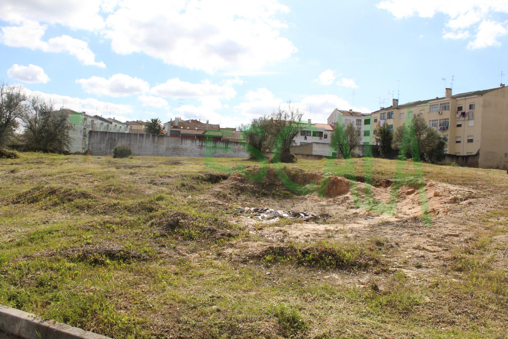 Lote de Terreno  Venda em Cartaxo e Vale da Pinta,Cartaxo