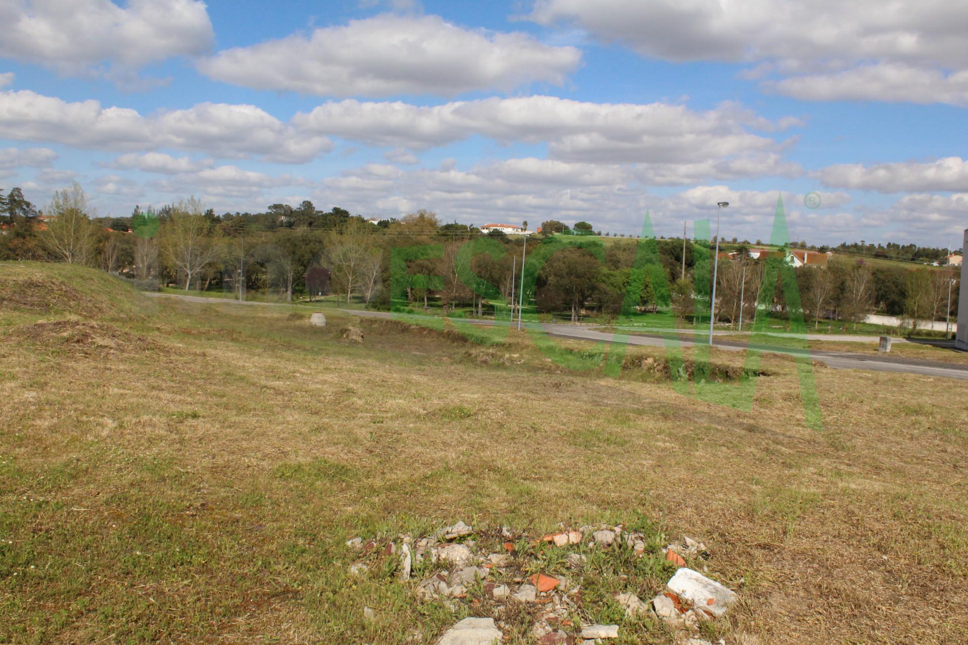 Lote de Terreno  Venda em Cartaxo e Vale da Pinta,Cartaxo