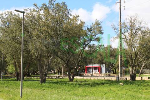Lote de Terreno  Venda em Cartaxo e Vale da Pinta,Cartaxo