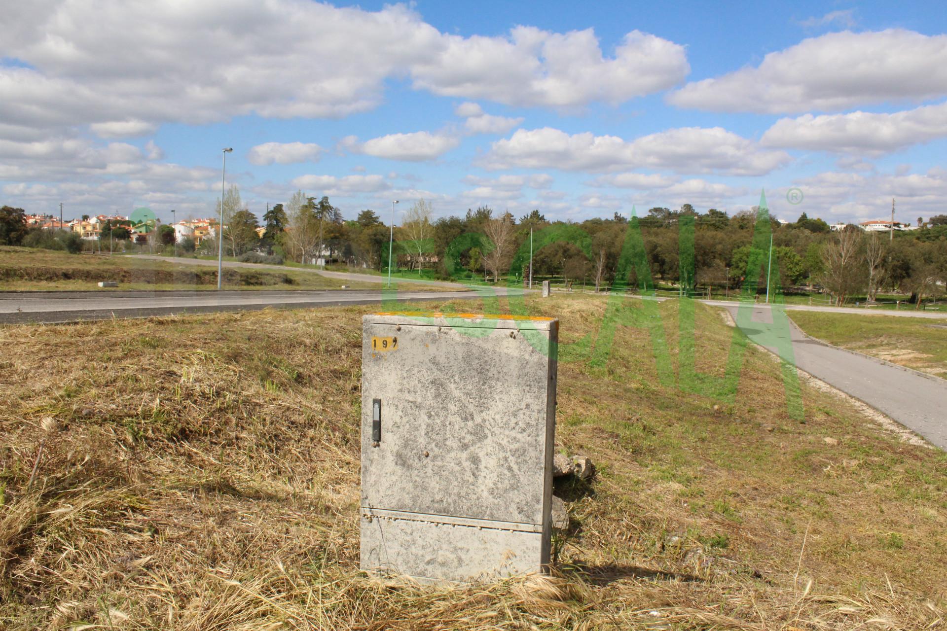 Lote de Terreno  Venda em Cartaxo e Vale da Pinta,Cartaxo