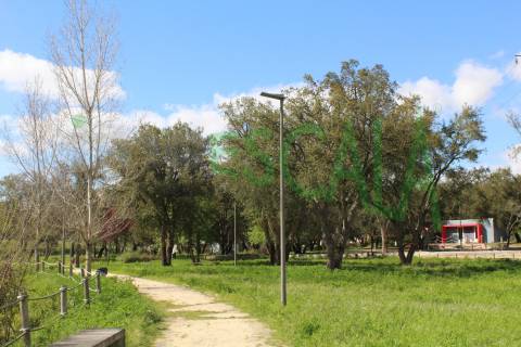 Lote de Terreno  Venda em Cartaxo e Vale da Pinta,Cartaxo