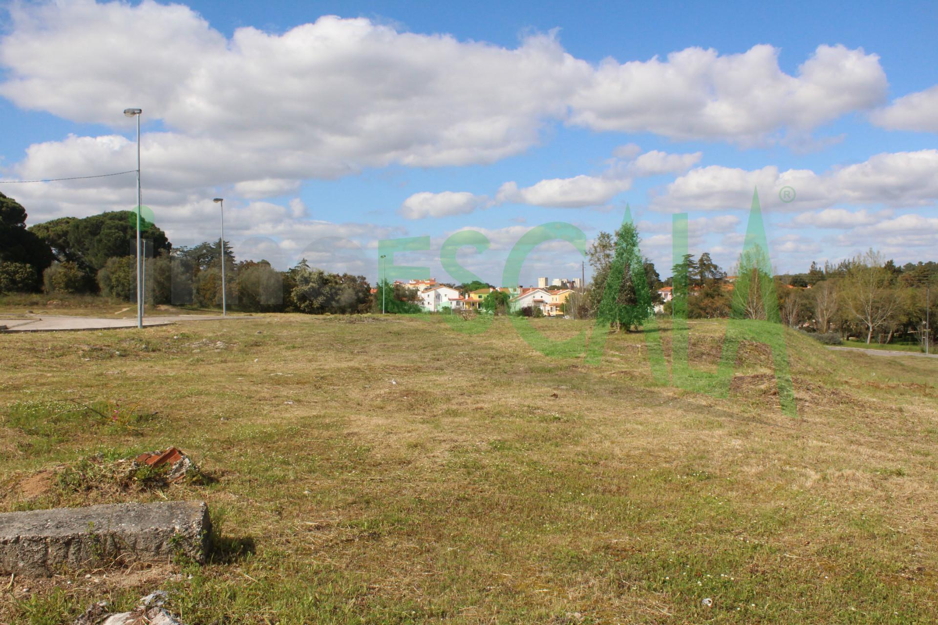 Lote de Terreno  Venda em Cartaxo e Vale da Pinta,Cartaxo