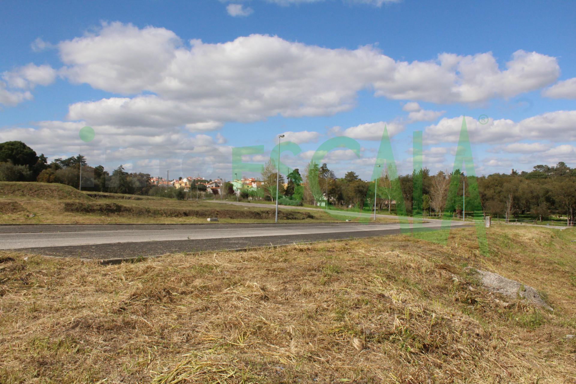 Lote de Terreno  Venda em Cartaxo e Vale da Pinta,Cartaxo