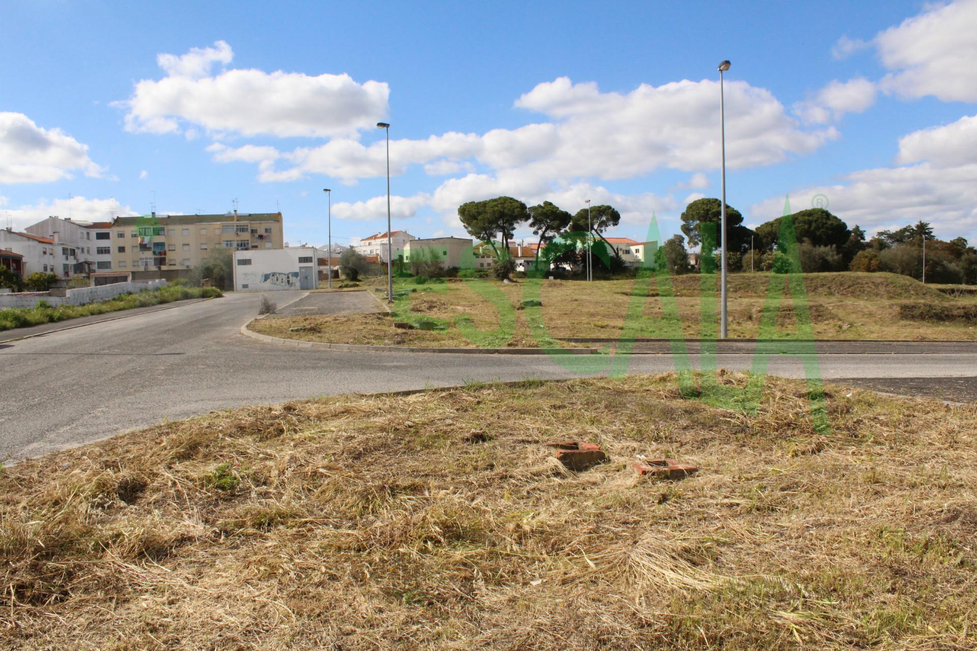 Lote de Terreno  Venda em Cartaxo e Vale da Pinta,Cartaxo