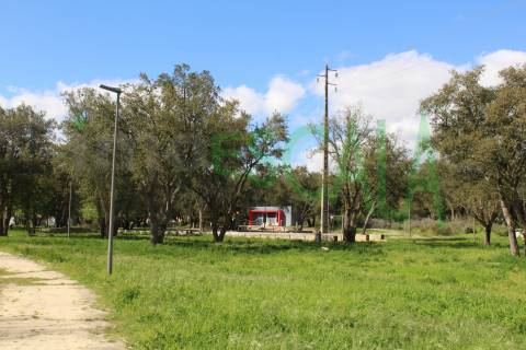 Lote de Terreno