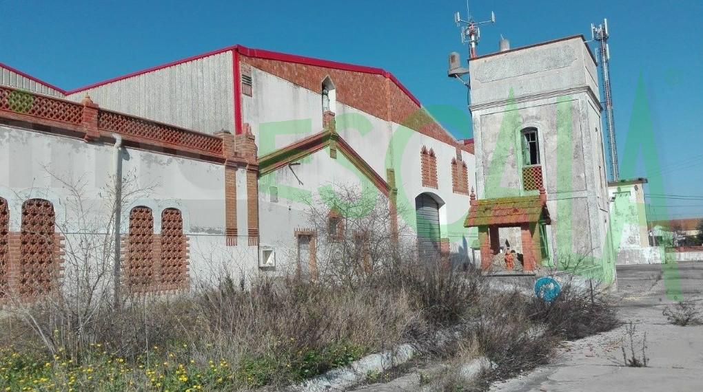 Fábrica/Indústria  Venda em Pontével,Cartaxo