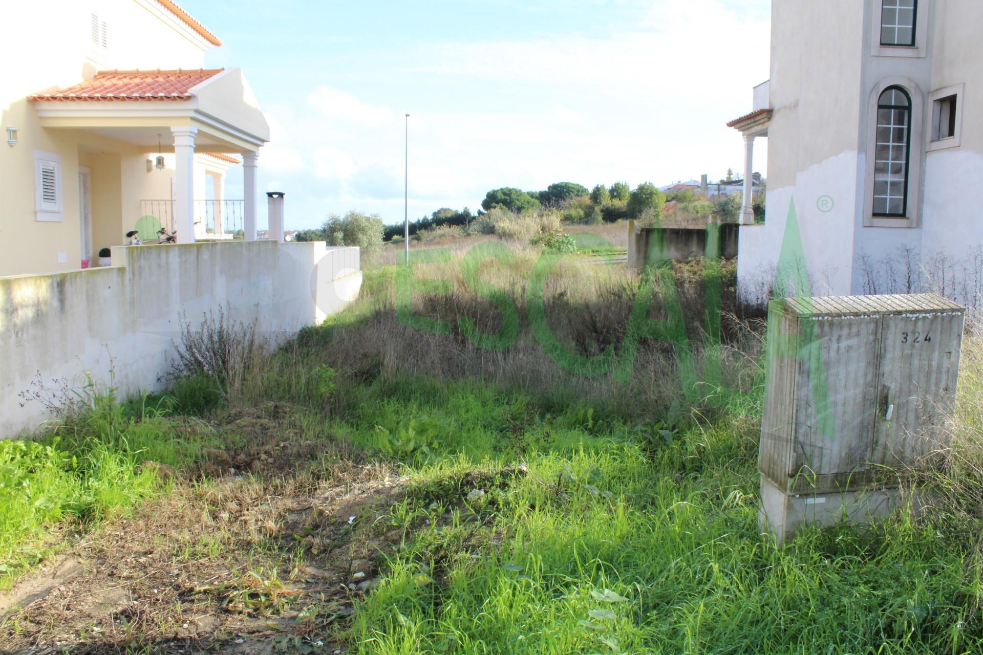 Lote de Terreno  Venda em Cartaxo e Vale da Pinta,Cartaxo