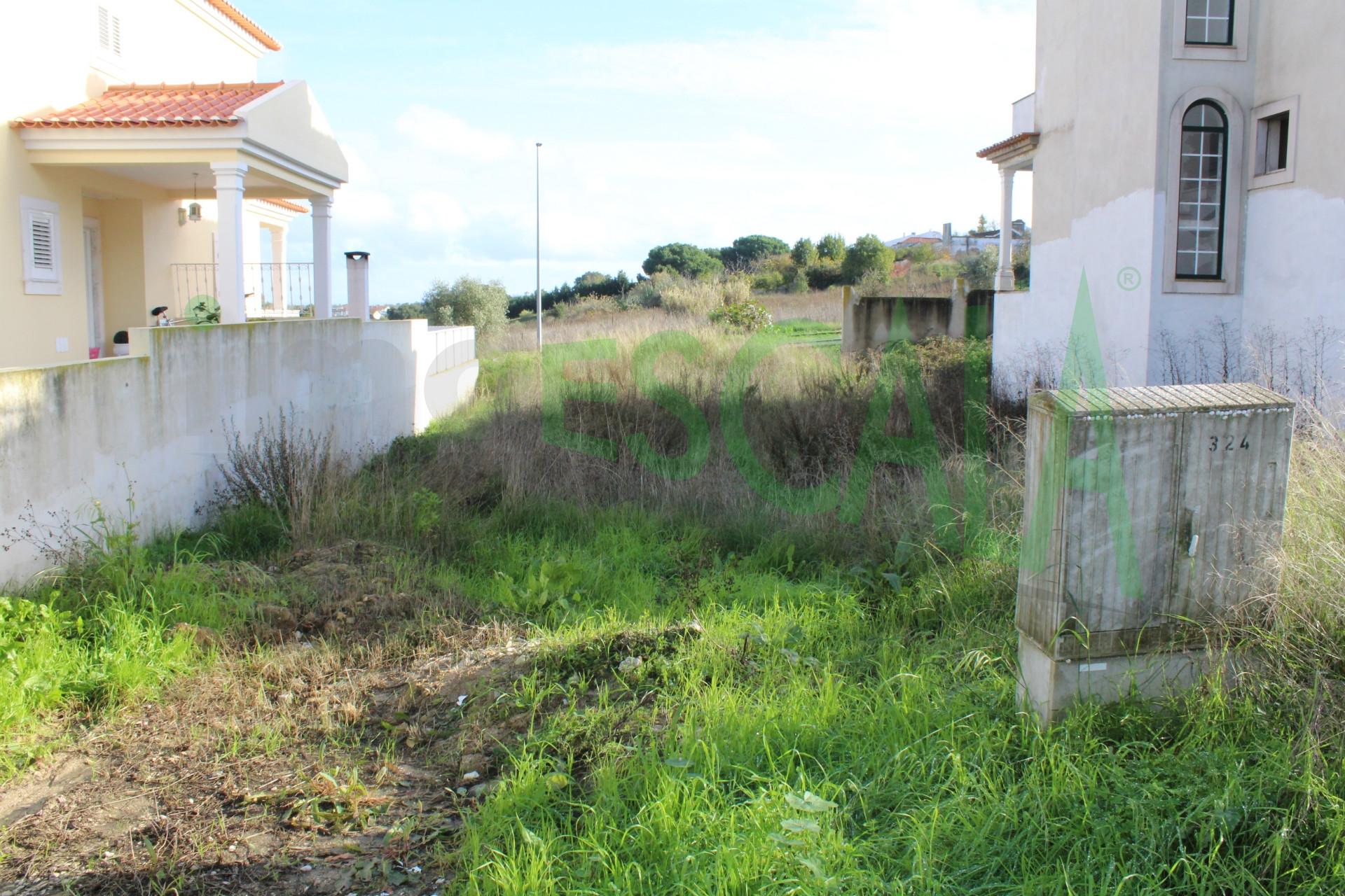 Lote de Terreno  Venda em Cartaxo e Vale da Pinta,Cartaxo