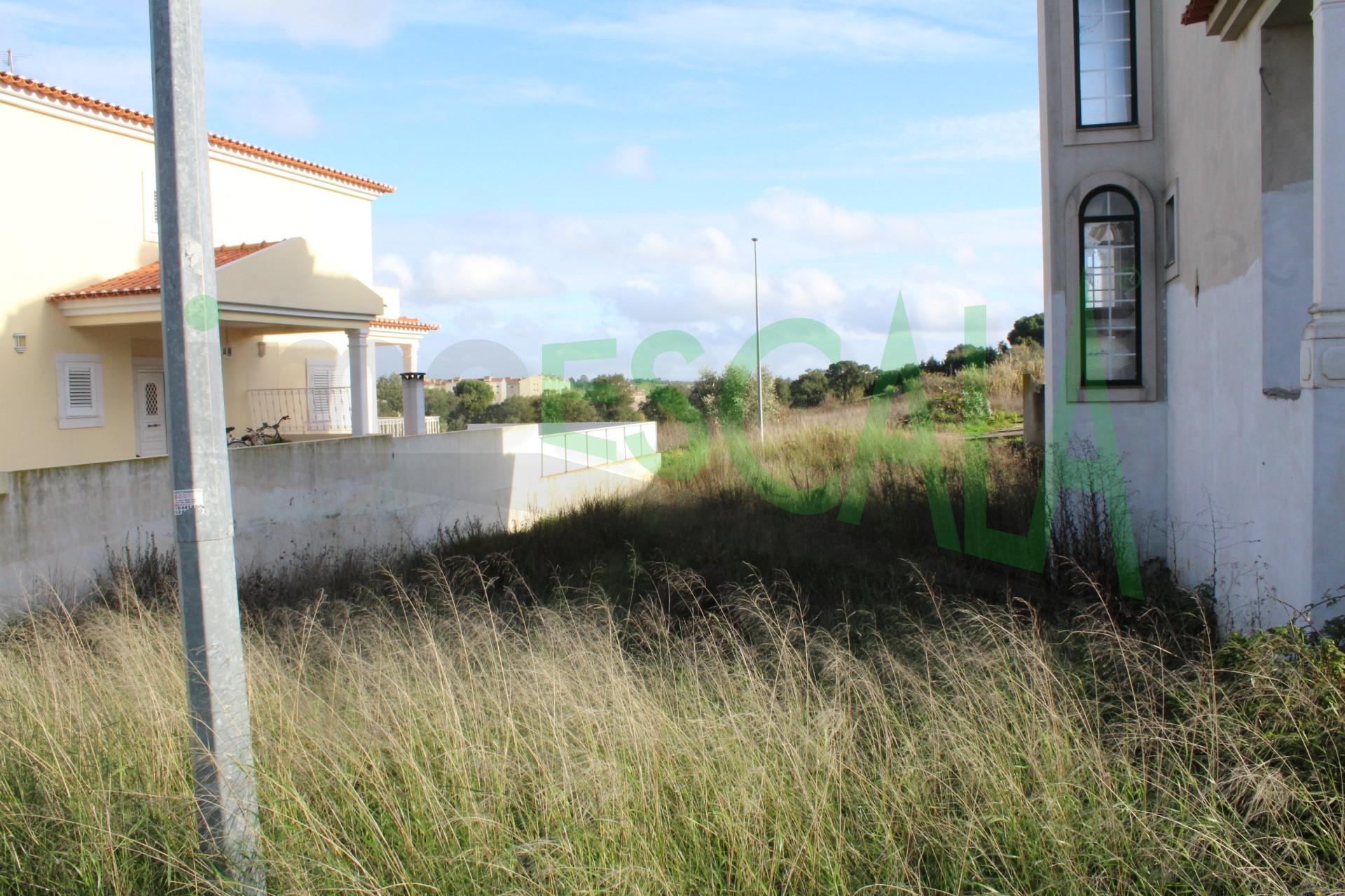 Lote de Terreno  Venda em Cartaxo e Vale da Pinta,Cartaxo