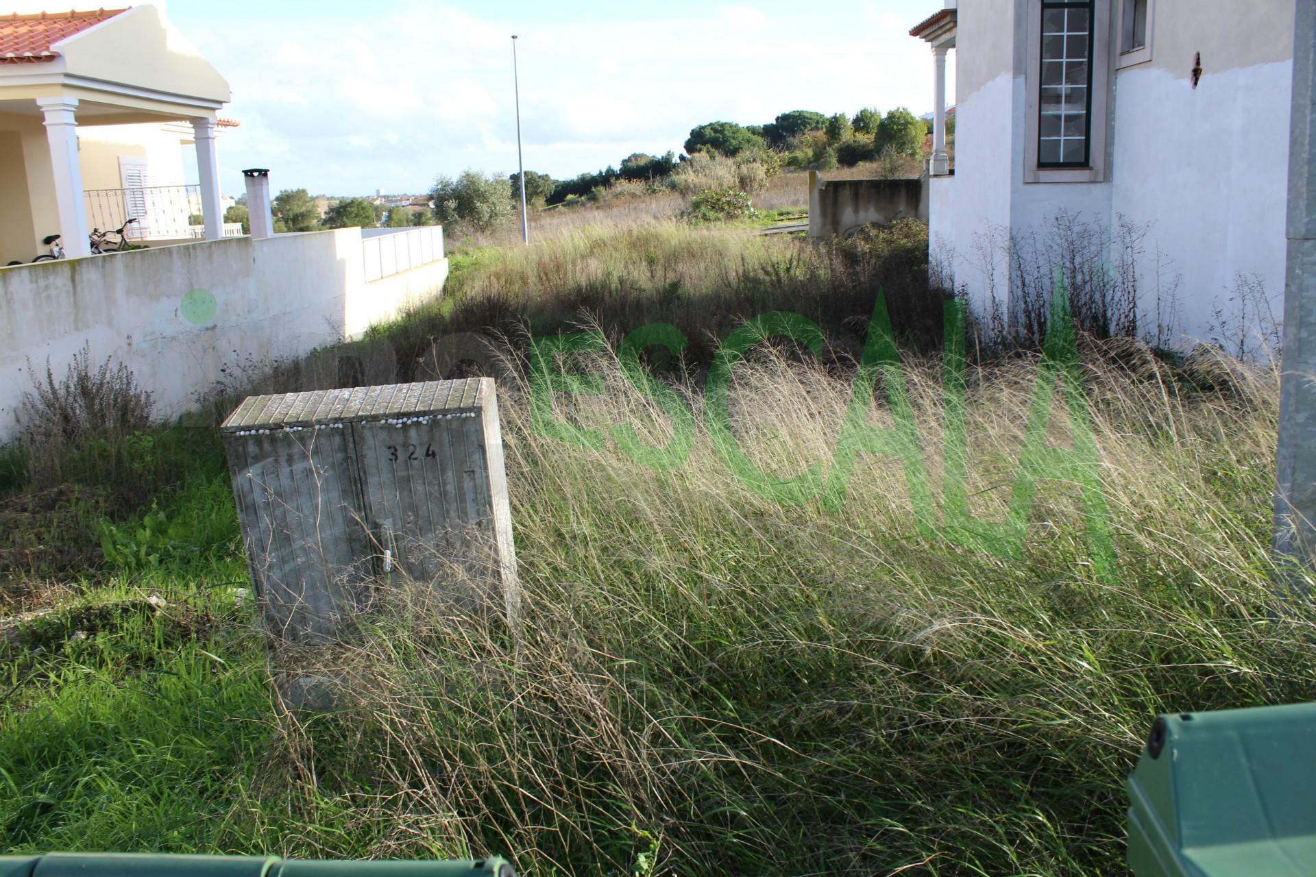 Lote de Terreno  Venda em Cartaxo e Vale da Pinta,Cartaxo