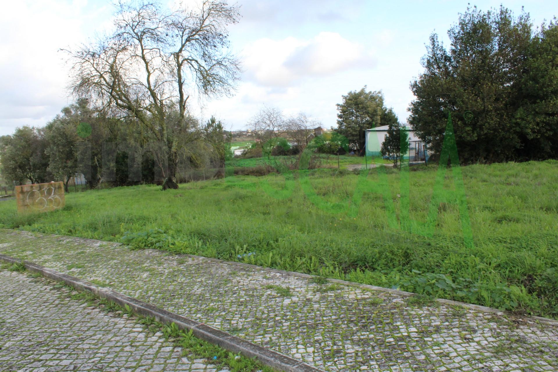 Terreno Para Construção  Venda em Cartaxo e Vale da Pinta,Cartaxo