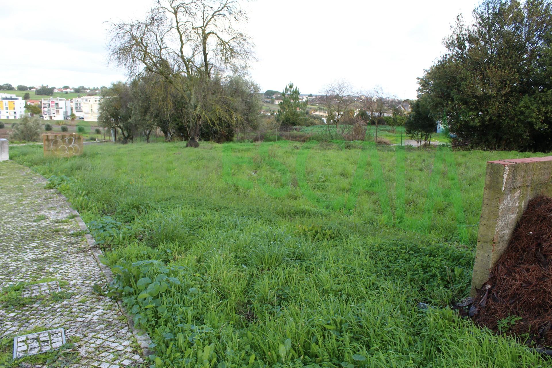 Terreno Para Construção  Venda em Cartaxo e Vale da Pinta,Cartaxo