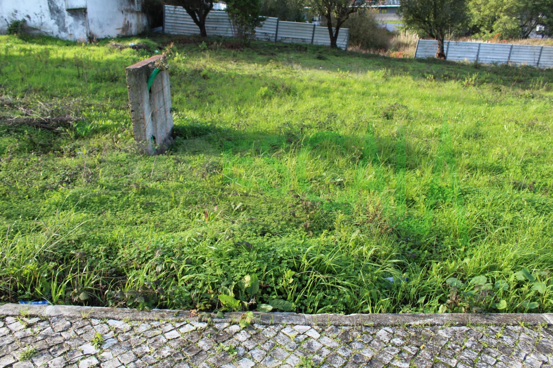 Lote de Terreno  Venda em Cartaxo e Vale da Pinta,Cartaxo