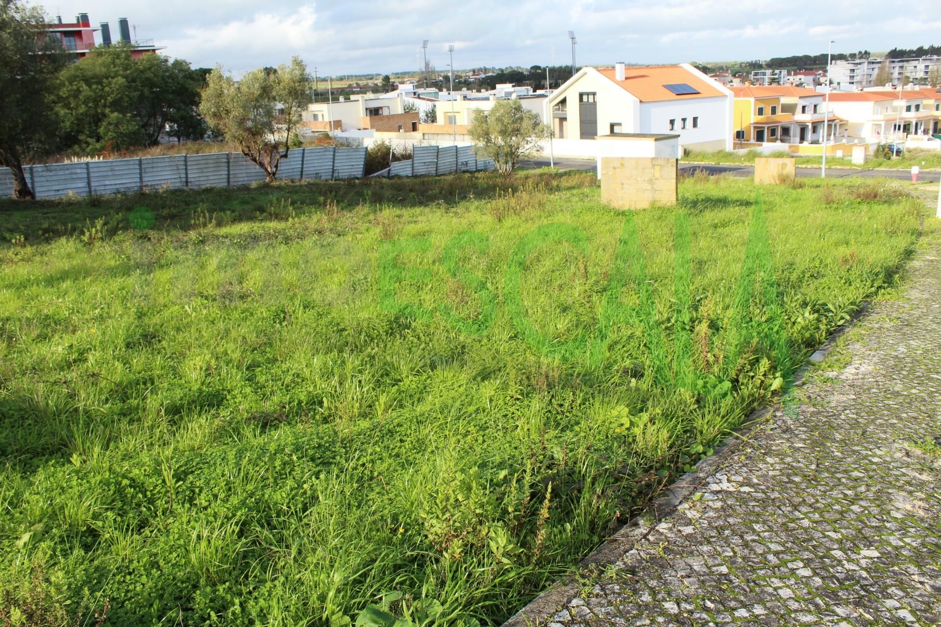 Lote de Terreno  Venda em Cartaxo e Vale da Pinta,Cartaxo