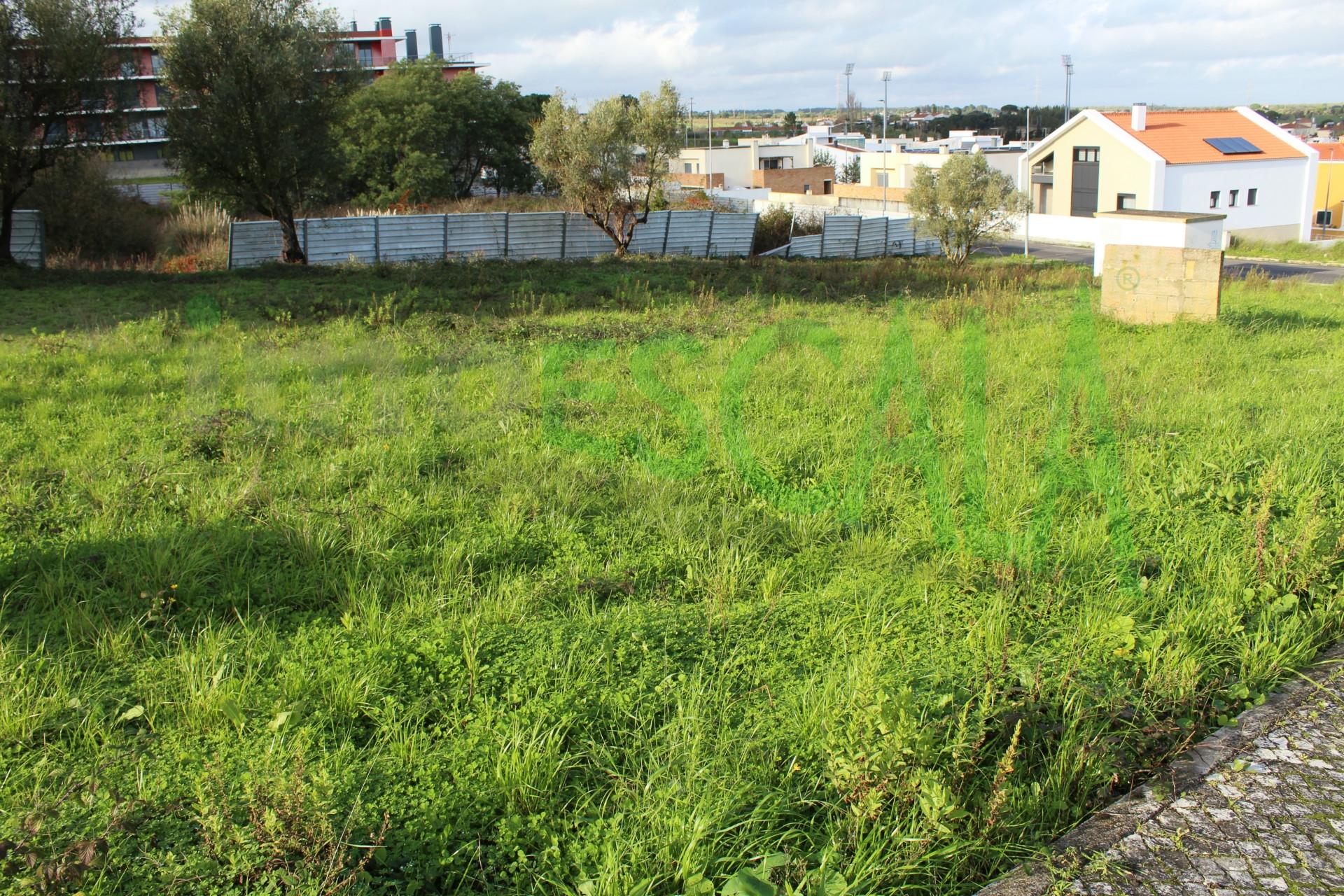 Lote de Terreno  Venda em Cartaxo e Vale da Pinta,Cartaxo