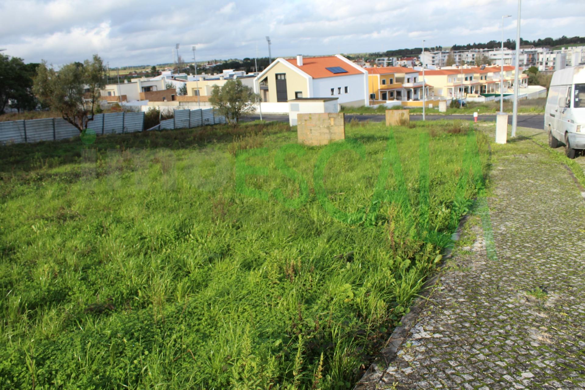 Lote de Terreno  Venda em Cartaxo e Vale da Pinta,Cartaxo