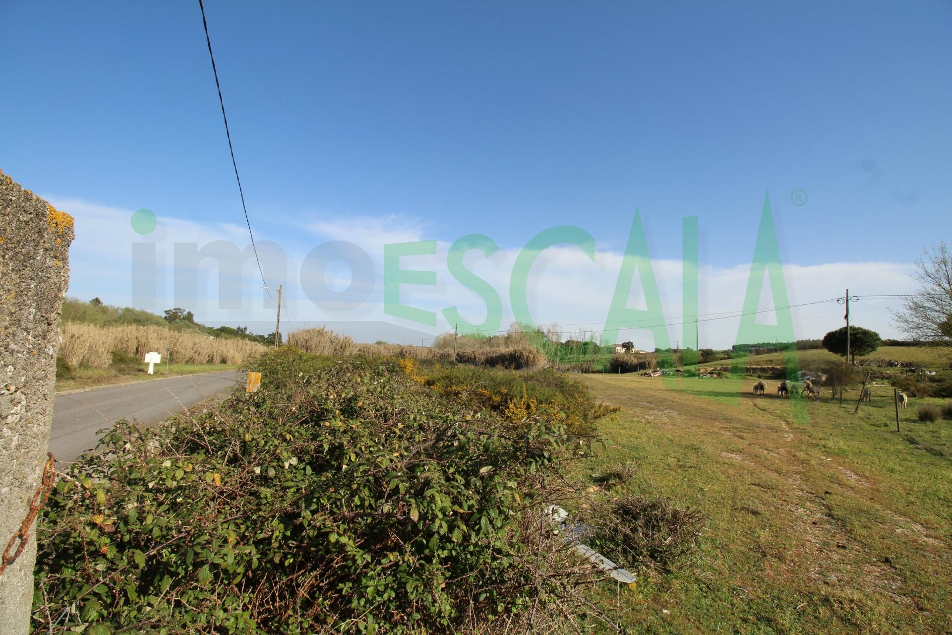 Terreno Misto  Venda em Manique do Intendente, Vila Nova de São Pedro e Maçussa,Azambuja