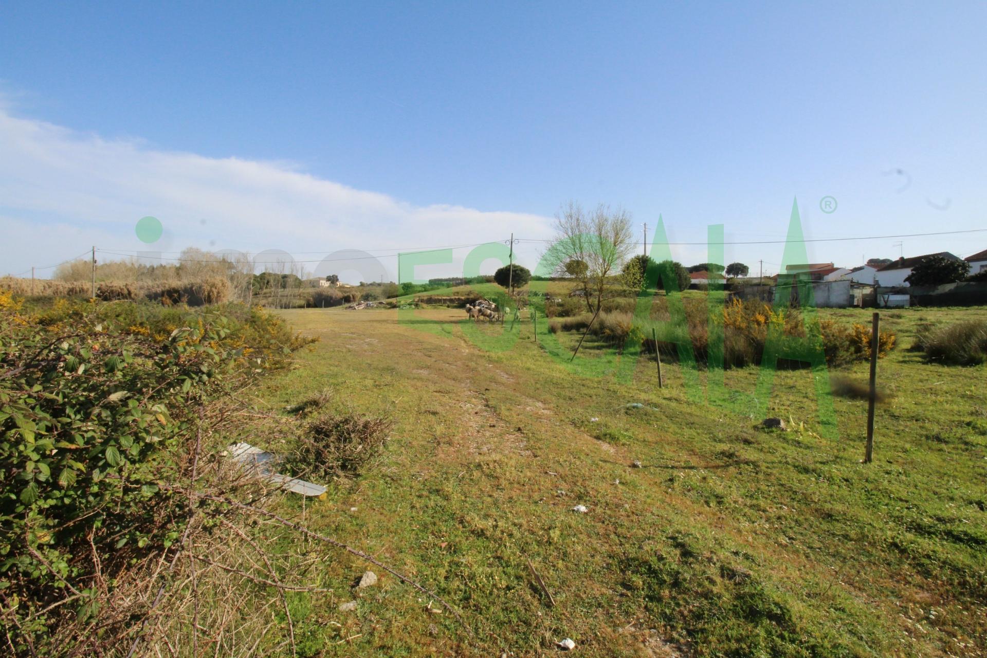 Terreno Misto  Venda em Manique do Intendente, Vila Nova de São Pedro e Maçussa,Azambuja