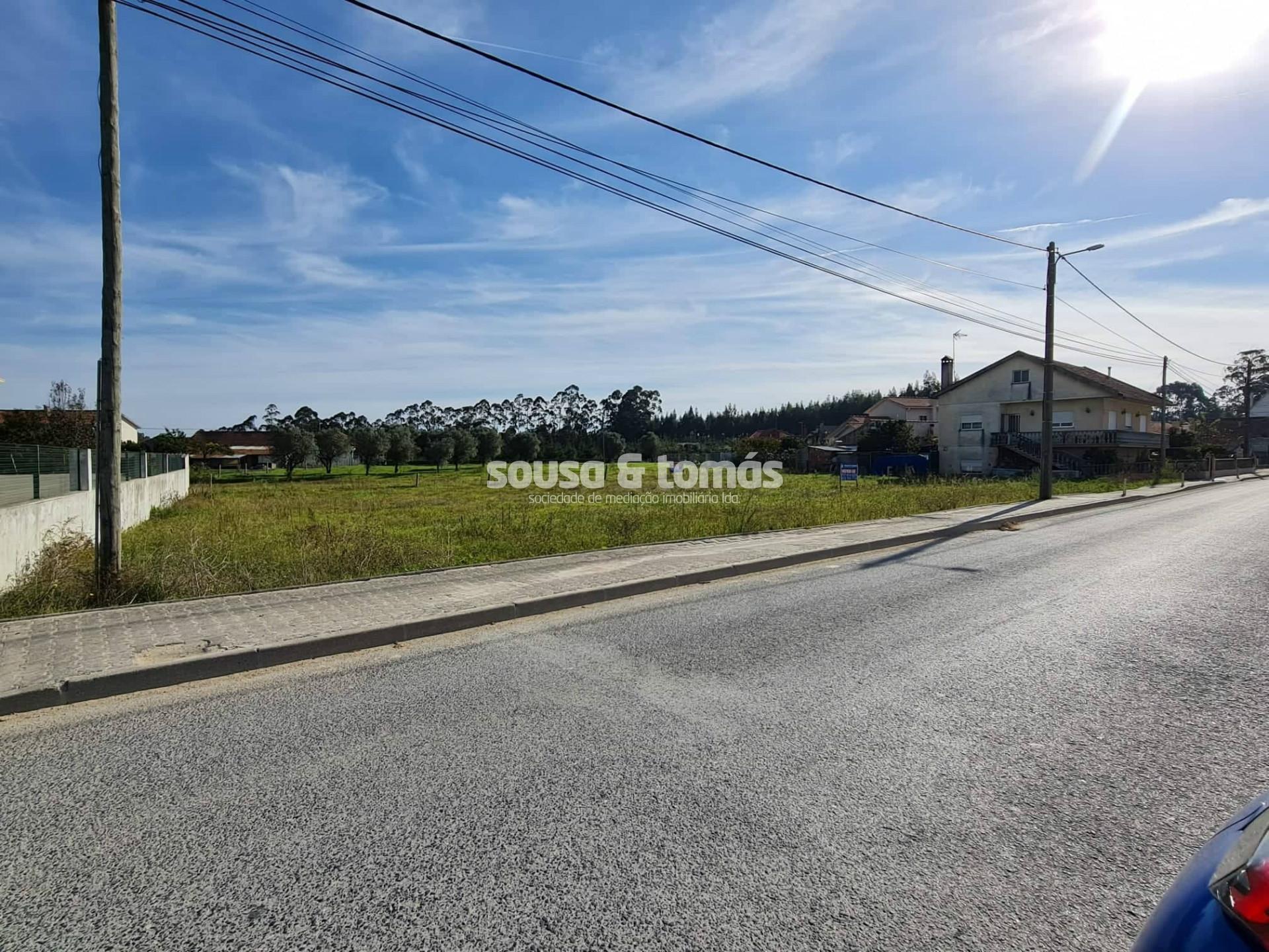 Terreno Rústico  Venda em Colmeias e Memória,Leiria