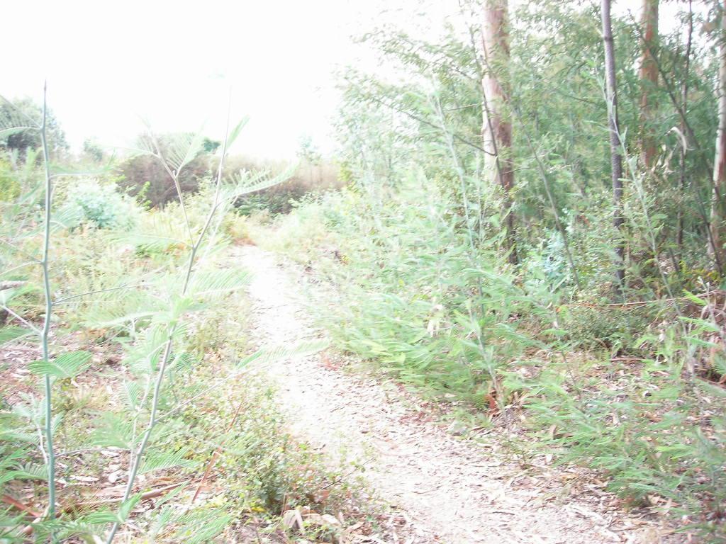 Terreno  Venda em Esporões,Braga