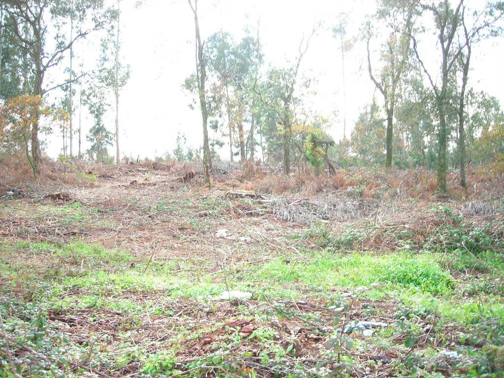 Terreno  Venda em Cabreiros e Passos (São Julião),Braga