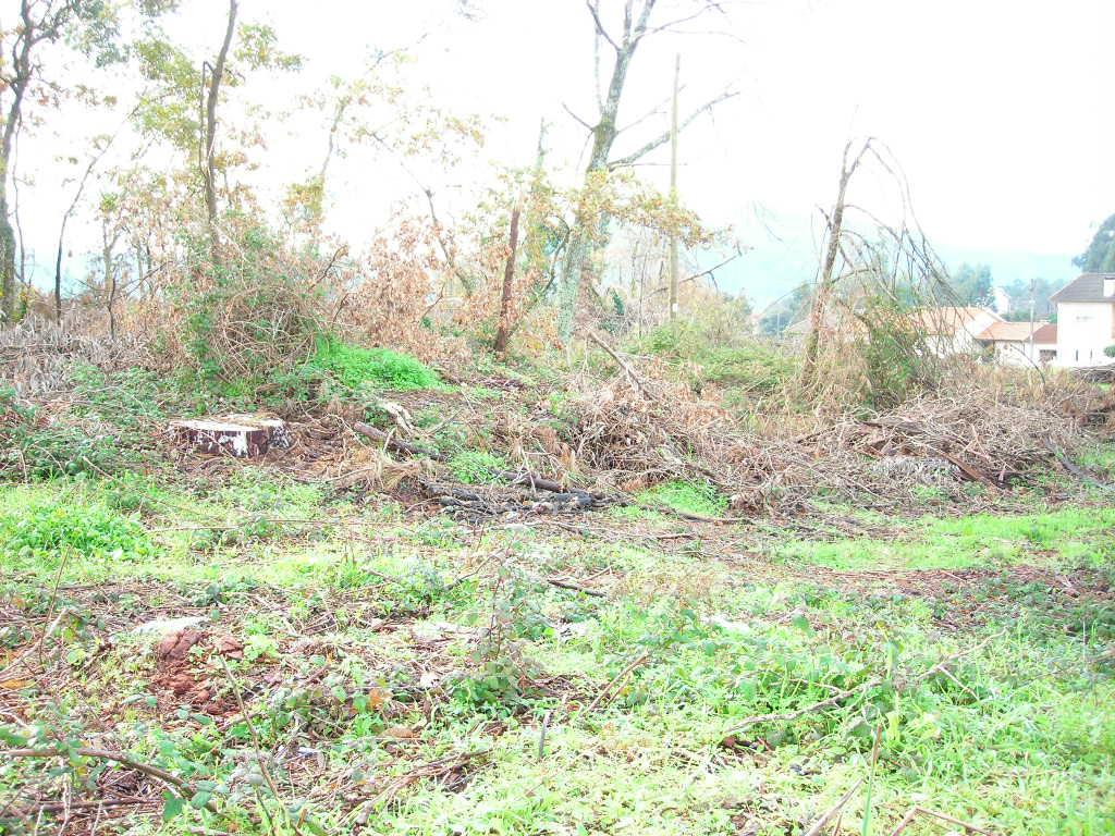 Terreno  Venda em Cabreiros e Passos (São Julião),Braga