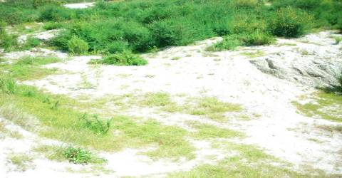 Terreno  Venda em Monsul,Póvoa de Lanhoso